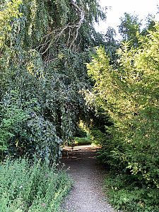 Anglický park