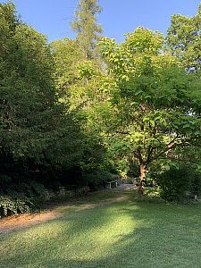 Anglický park