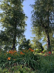 Anglický park