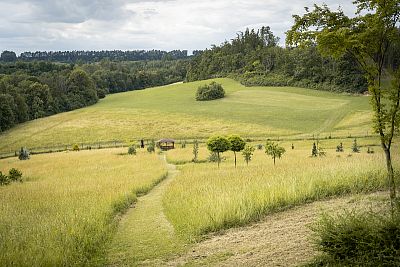 Arboretum